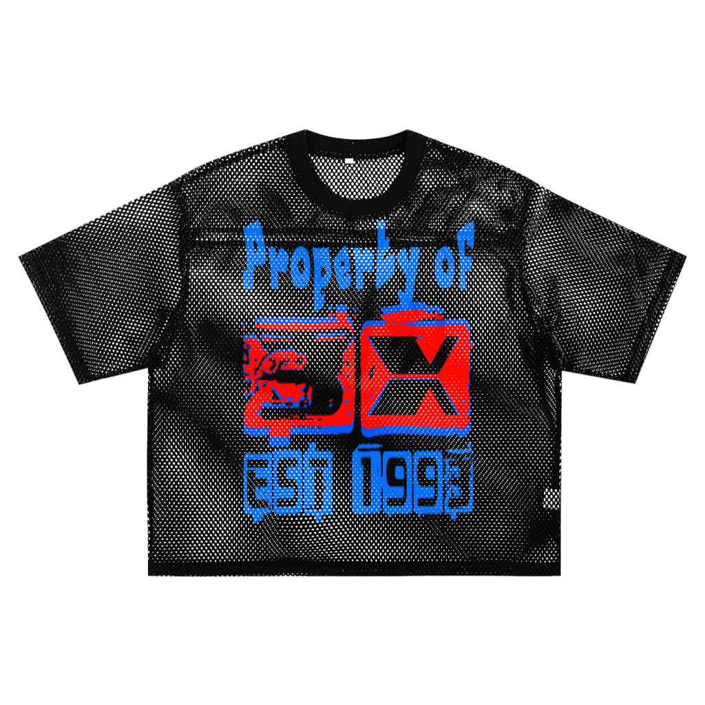 See-through Boxy Net T-Shirt ODMPOD